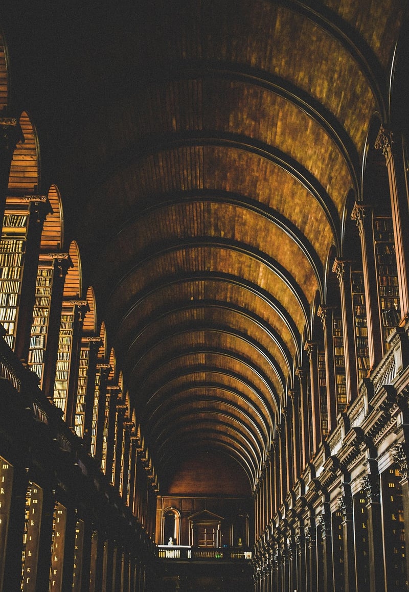 Enchanted Libraries